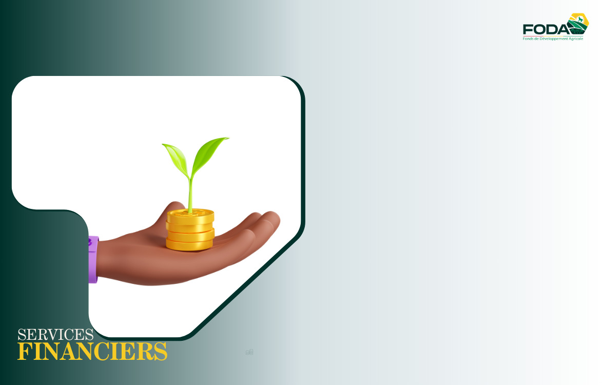 Image Services Financiers